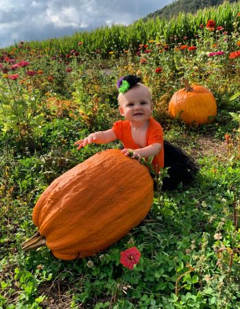 Ashe County Corn Maze and Pumpkin Festival