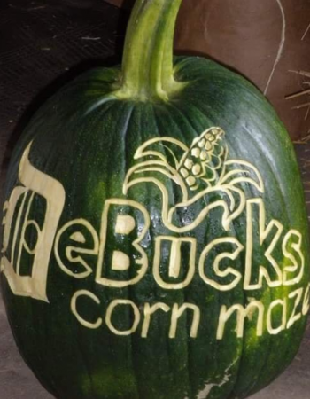 DeBuck’s Corn Maze and Pumpkin Patch