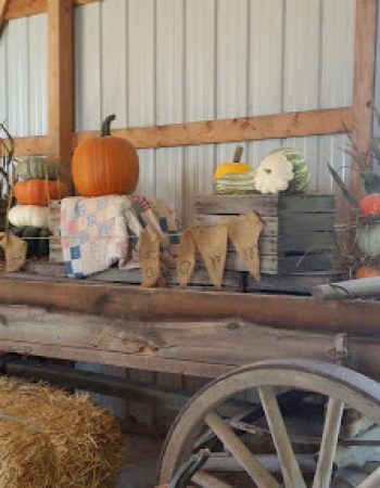Fleitz Pumpkin Farm