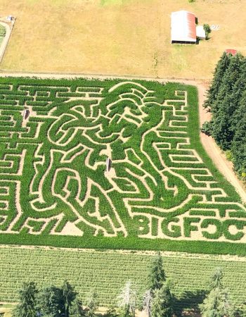 Rutledge Corn Maze LLC
