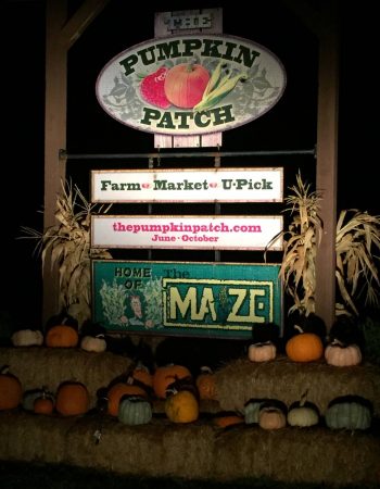 The Maize at The Pumpkin Patch