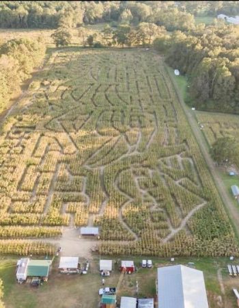 Cajun Country Corn home of Louisiana Maze LLC