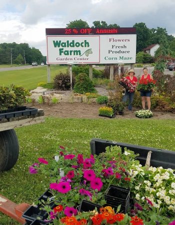 Waldoch Farm