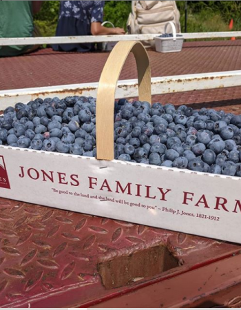 Jones Family Farms – Pumpkinseed Hill Farm