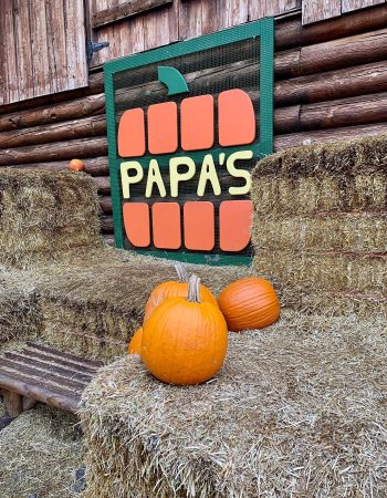 Papa’s Pumpkin Patch