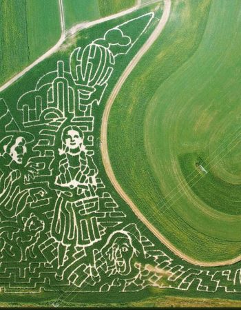 Hidden Trails Corn Maze