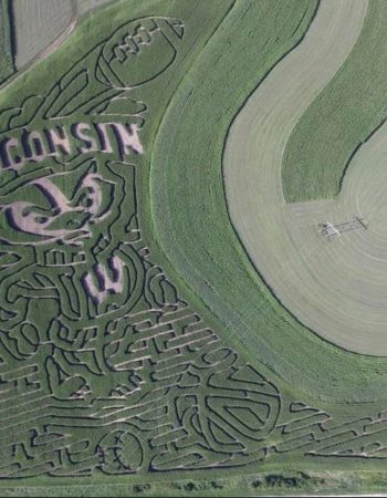 Hidden Trails Corn Maze