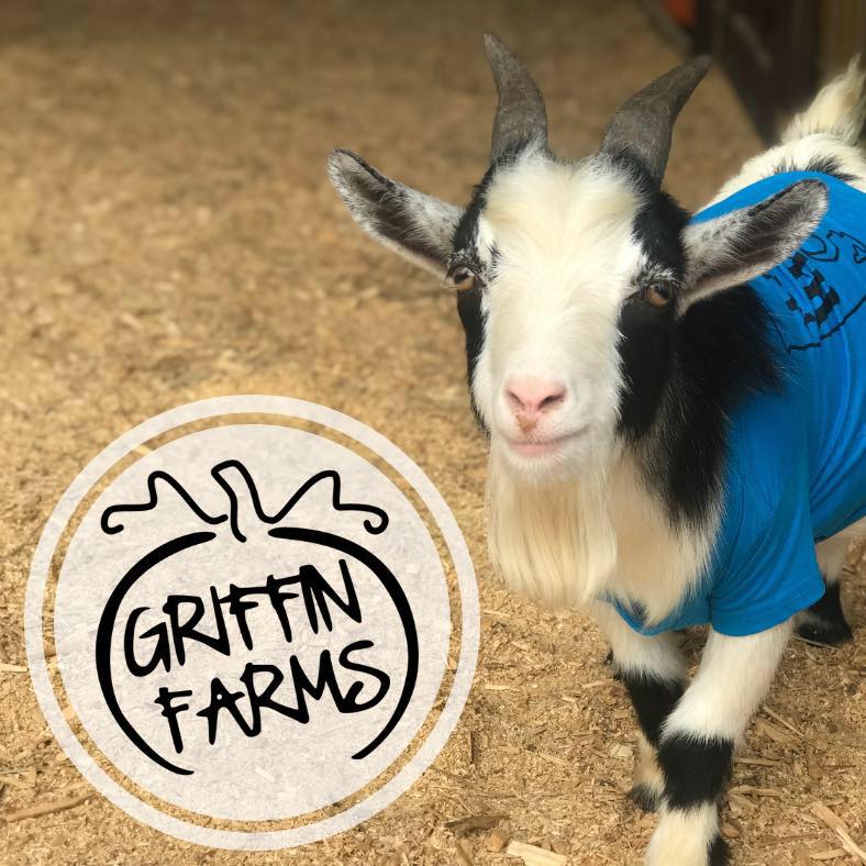 Griffin Farms Pumpkin Patch Pumpkin Patch Near Me