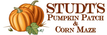 studts-logo-alt