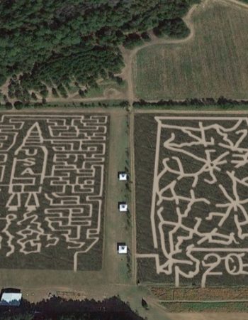Magnolia Corn Maze, Farm & Birthday Parties