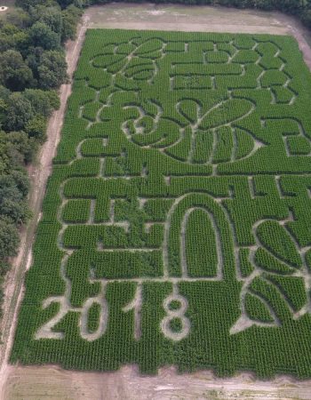 Mootown Corn Maze & Produce