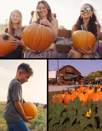 Bellevue Berry & Pumpkin Ranch